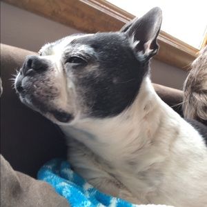 Meet your Posher, Joe